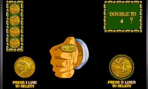 Рискованный раунд в автомате Остров Риск-игра в автомате Island